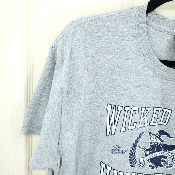 Wicked Witch University Funny Alumni Tee L Gray/Blue Short Sleeves Halloween - Picture 6 of 13